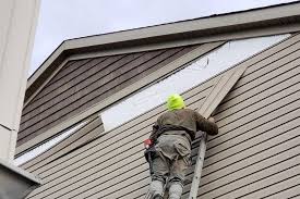 Best Siding Replacement  in Nappanee, IN